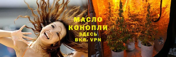 индика Кулебаки